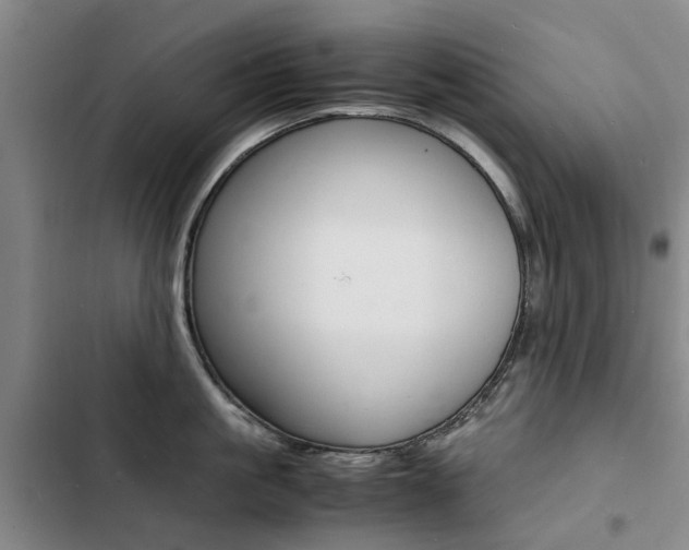 X0000103250861200808281055