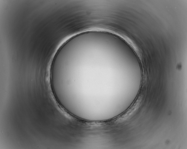 X0000103250862200808281055