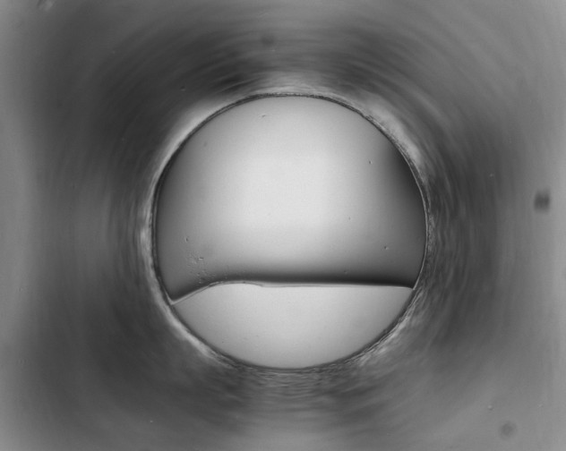 X0000103250863200808281055