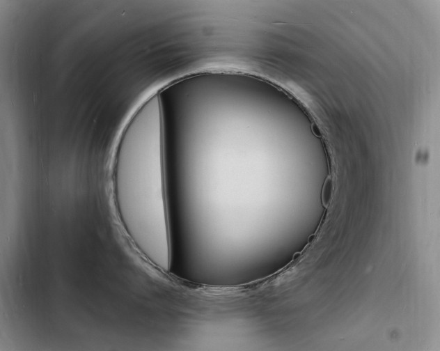 X0000103250864200808281055