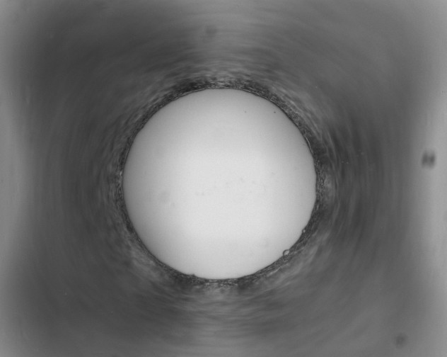 X0000103250865200808281054