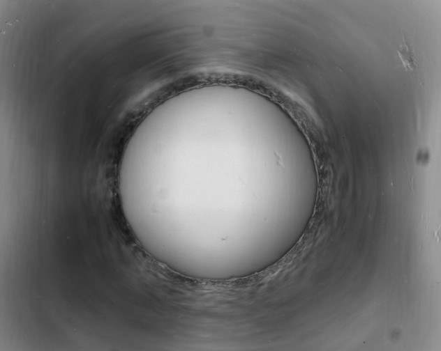 X0000103250870200808281054