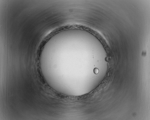 X0000103250871200808281054