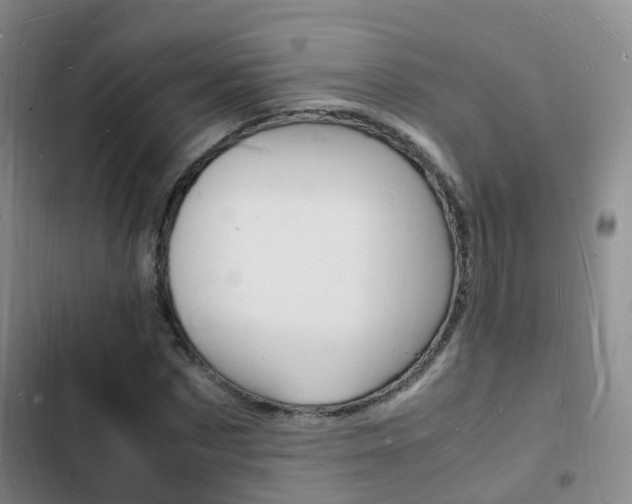 X0000103250873200808281054