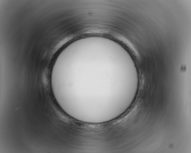 X0000103250874200808281054