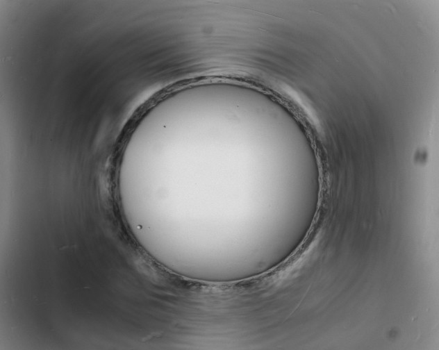 X0000103250875200808281054