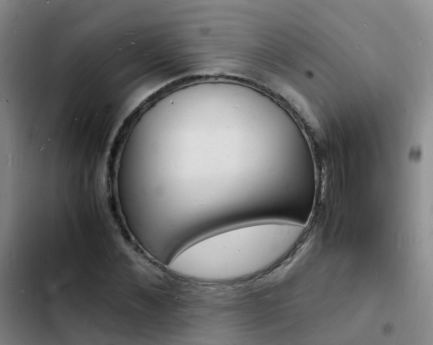 X0000103250876200808281054