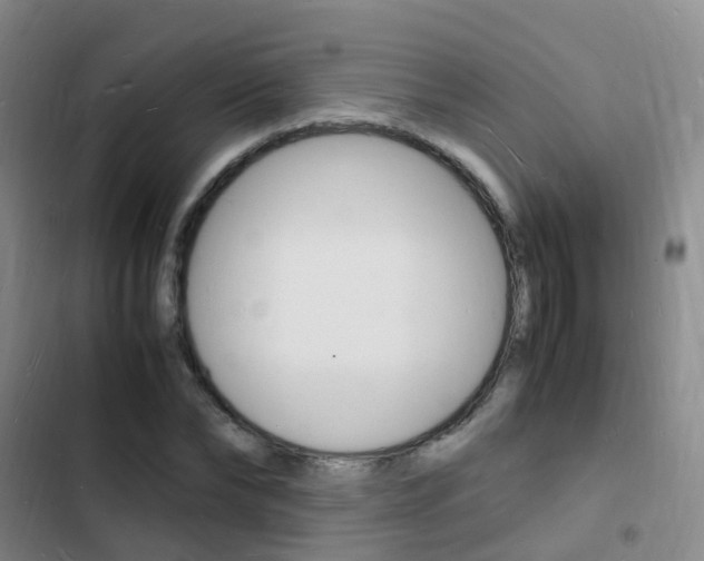 X0000103250878200808281054