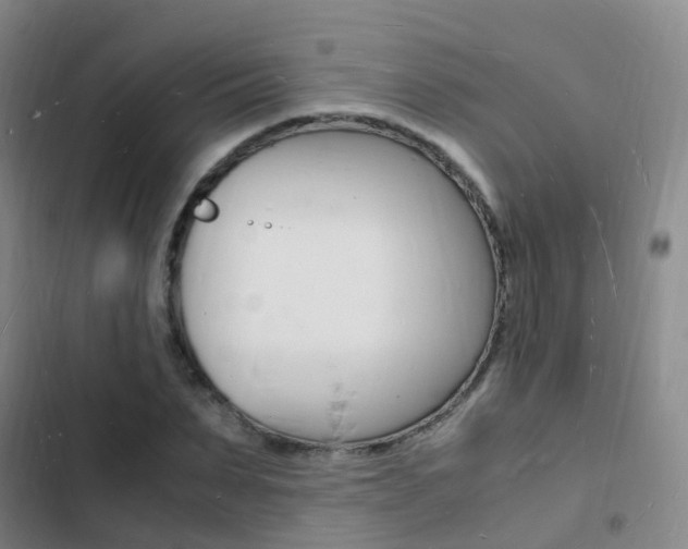 X0000103250879200808281054