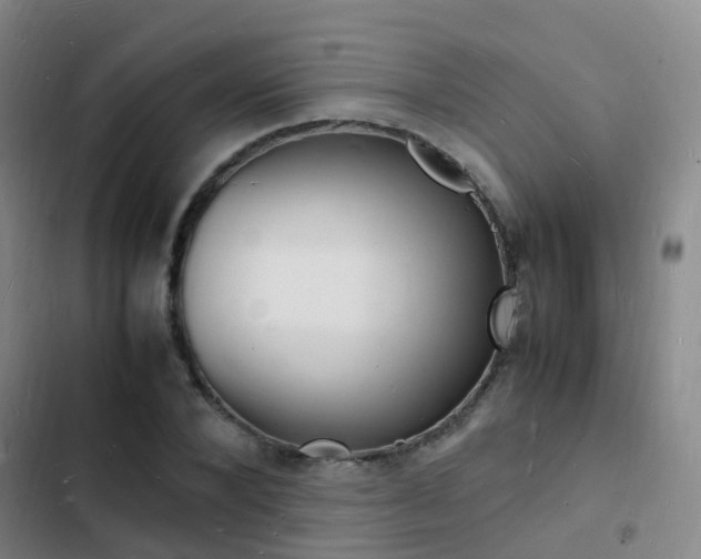 X0000103250880200808281054