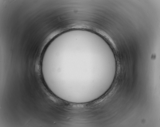 X0000103250882200808281054
