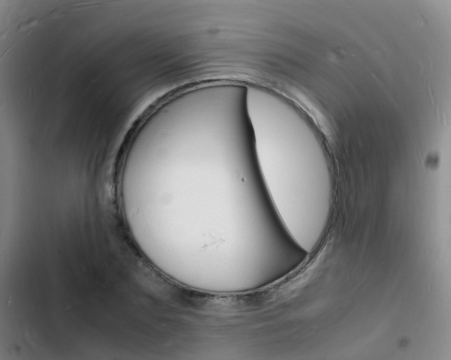 X0000103250883200808281054