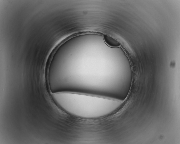 X0000103250884200808281054