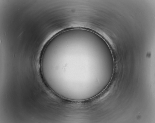 X0000103250885200808281054
