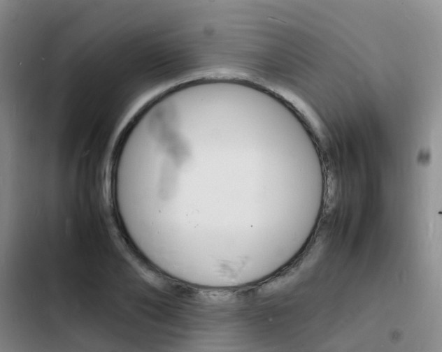 X0000103250886200808281054