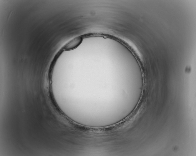 X0000103250887200808281054