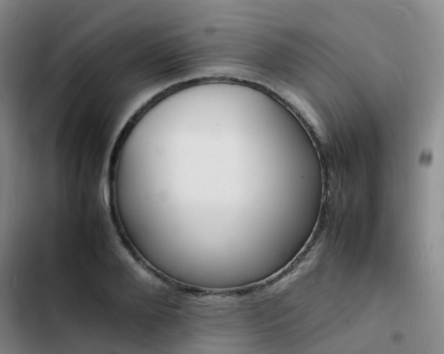X0000103250888200808281054