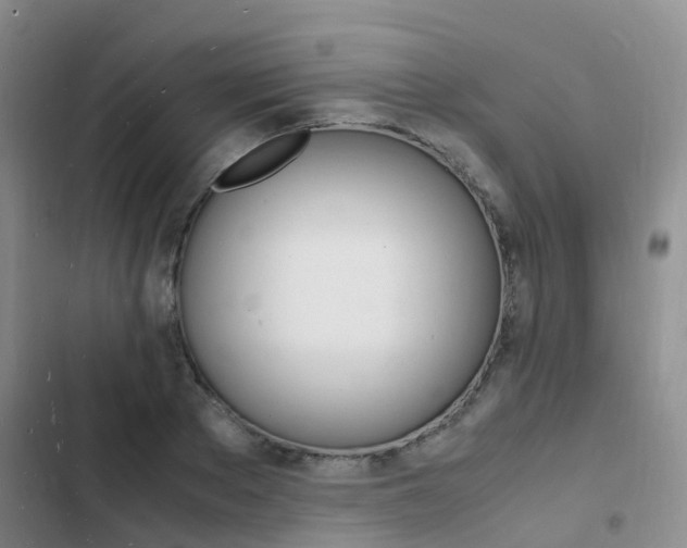 X0000103250889200808281054