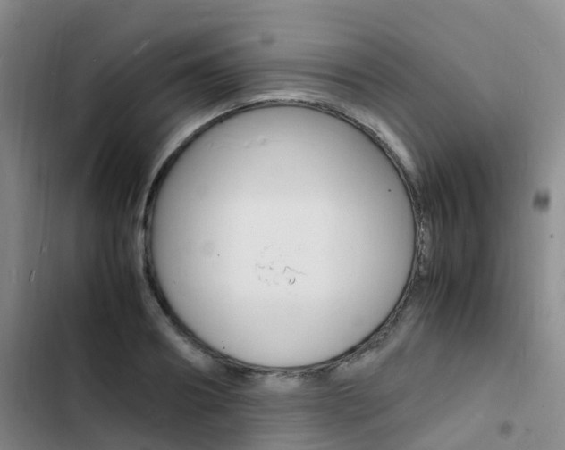 X0000103250890200808281054