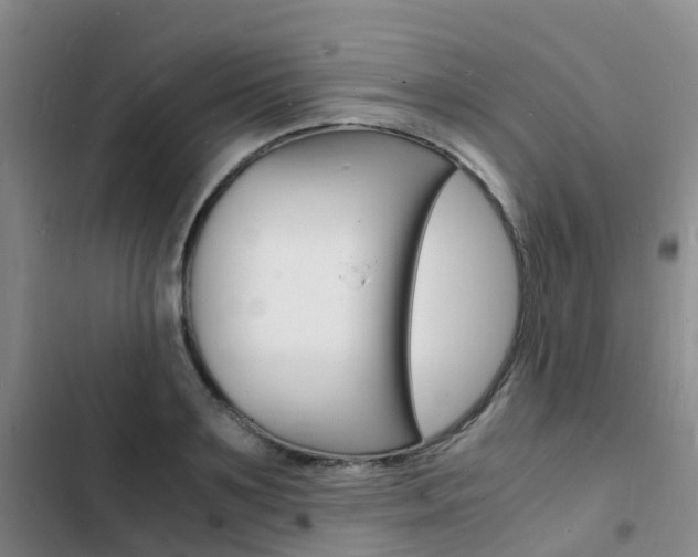 X0000103250891200808281054