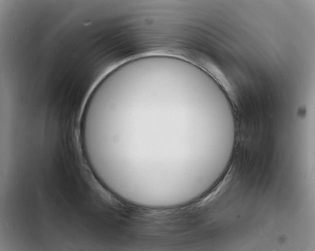 X0000103250892200808281054