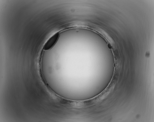 X0000103250893200808281054