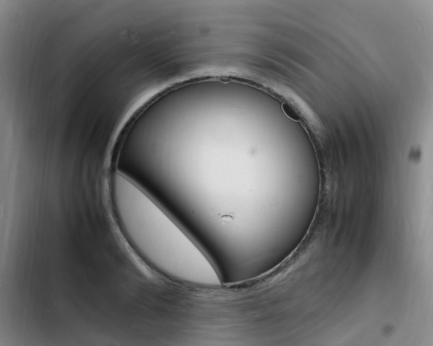 X0000103250894200808281054
