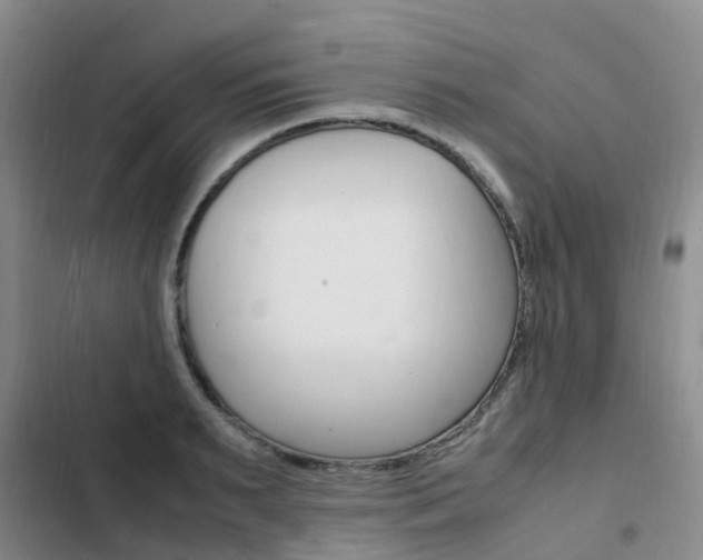 X0000103250895200808281053