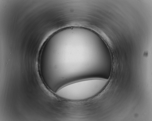 X0000103250896200808281053