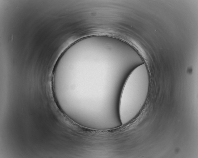 X0000103250899200808281053