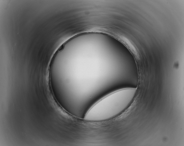 X0000103250900200808281053