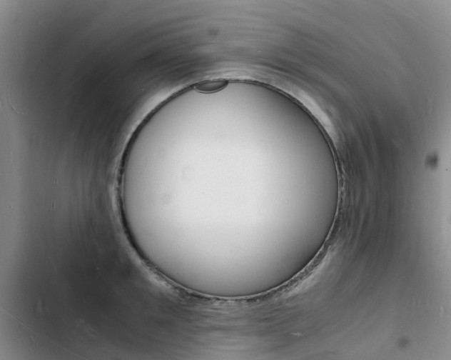 X0000103250901200808281053