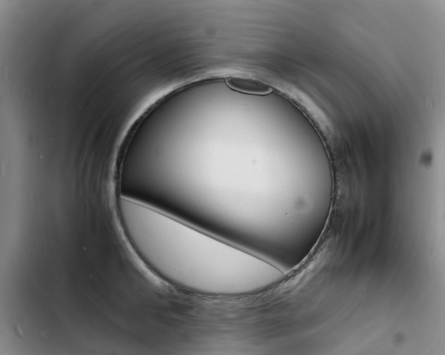 X0000103250902200808281053