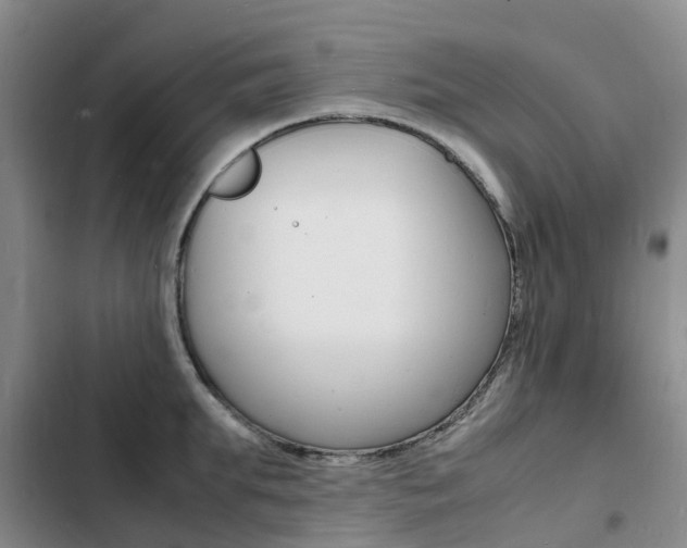 X0000103250903200808281053