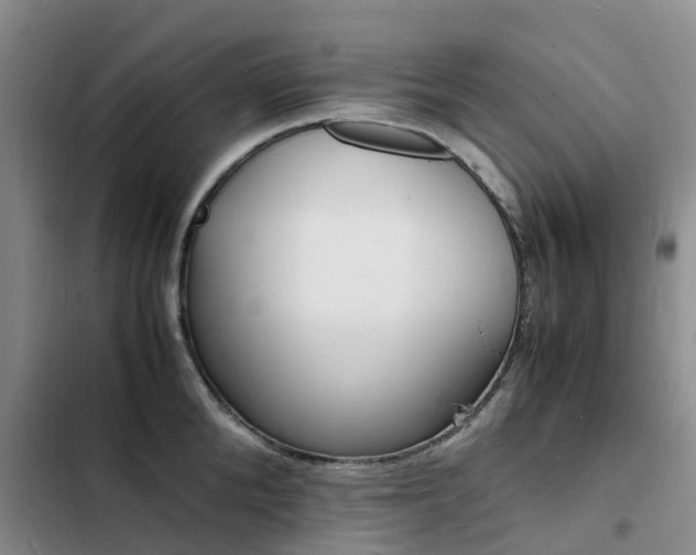 X0000103250904200808281053