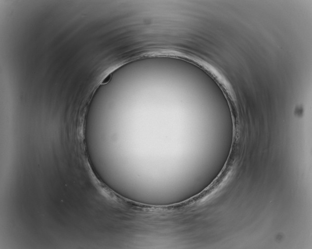 X0000103250905200808281053