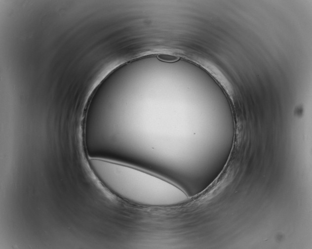 X0000103250906200808281053
