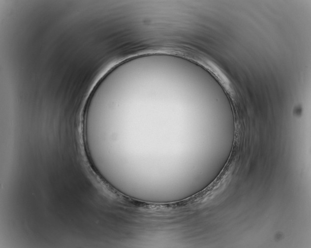 X0000103250907200808281053