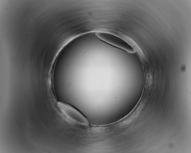 X0000103250908200808281053