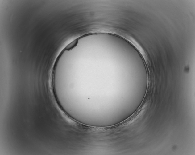 X0000103250909200808281053