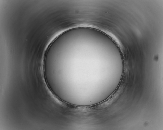X0000103250910200808281053