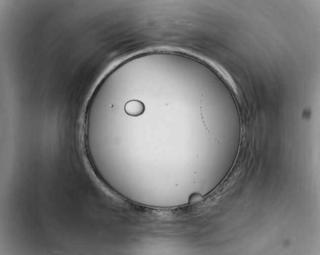 X0000103250911200808281053