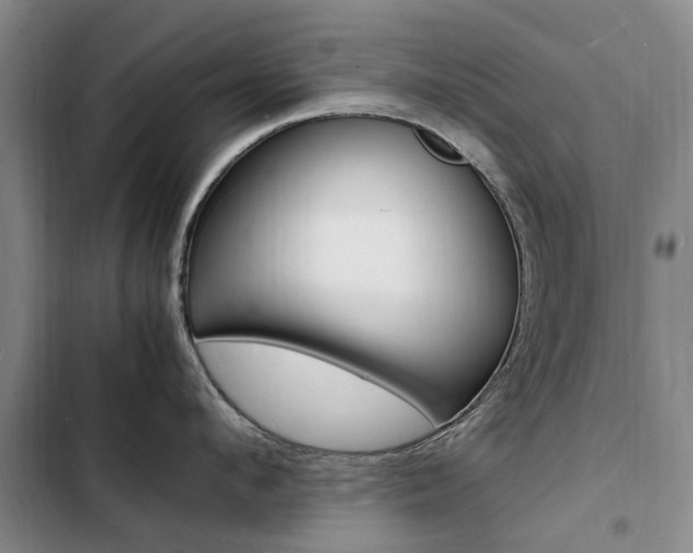 X0000103250912200808281053