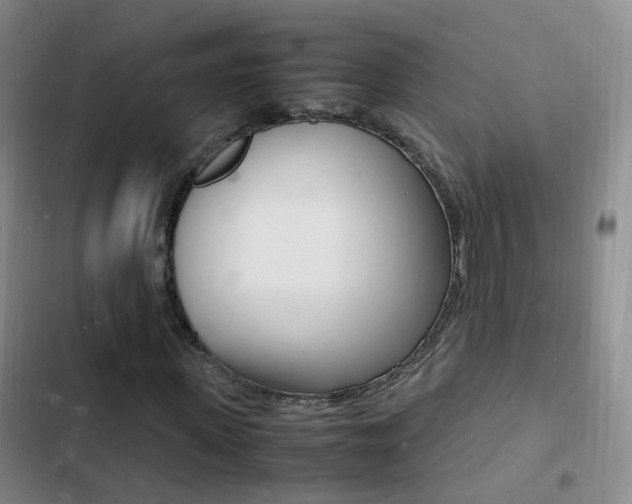X0000103250915200808281053