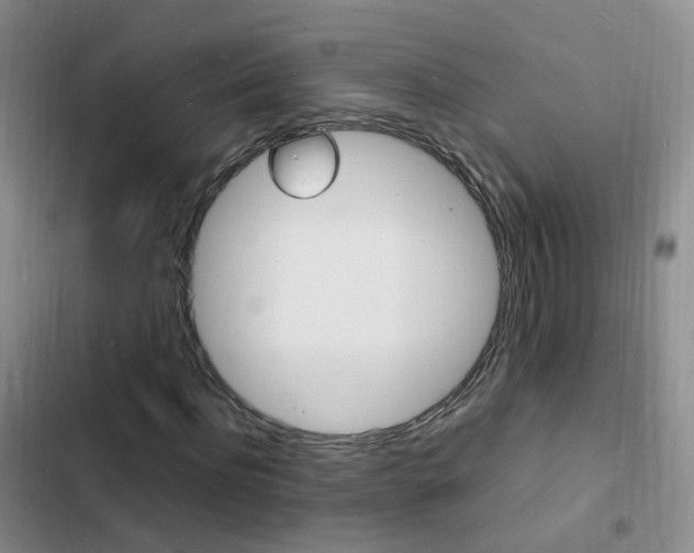 X0000103250916200808281053