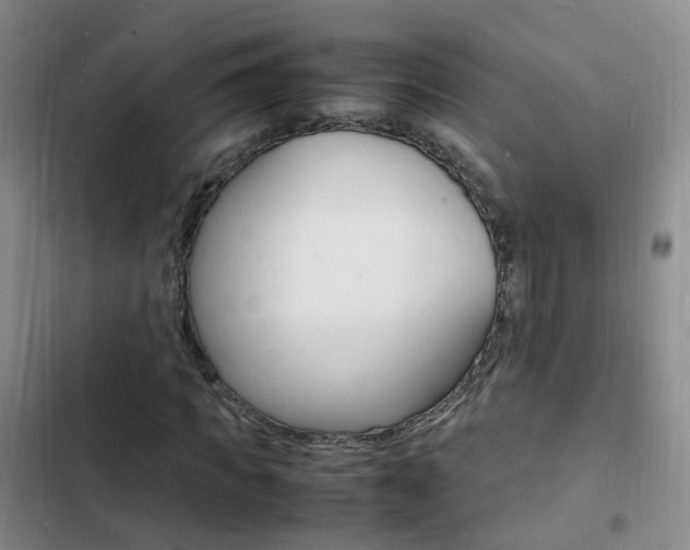 X0000103250917200808281053