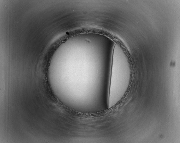 X0000103250919200808281053