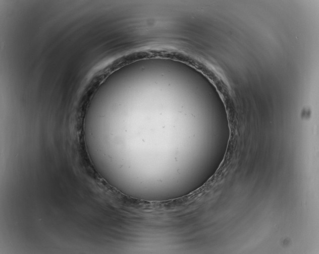 X0000103250920200808281053