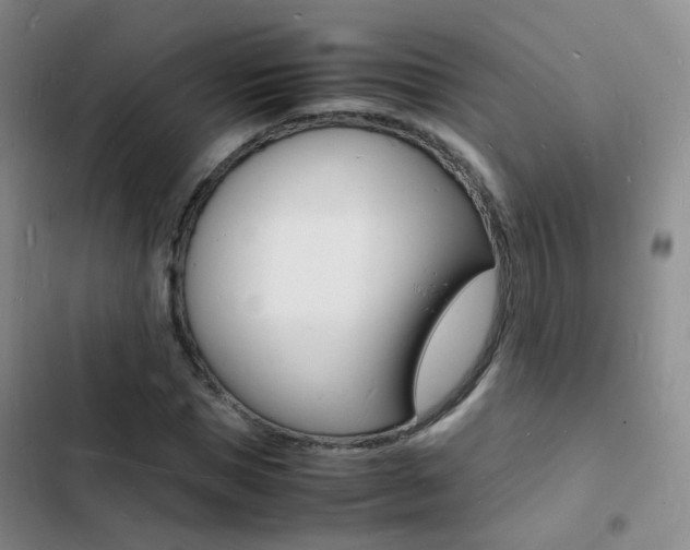 X0000103250921200808281053