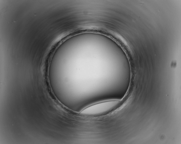 X0000103250922200808281053